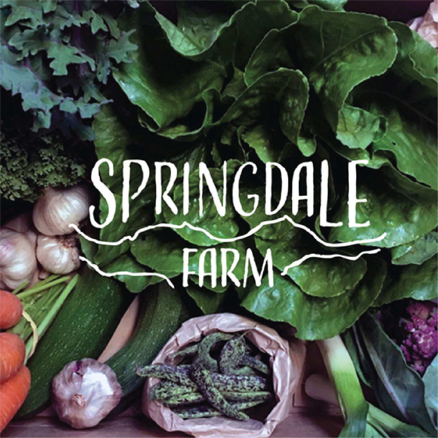 Springdale Farm Emma Ross Creative
